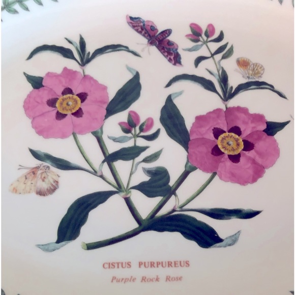 NWOT Portmeirion Beautiful Botanic Garden Oval Stoneware Platter EXC MINT COND!! - Picture 5 of 8